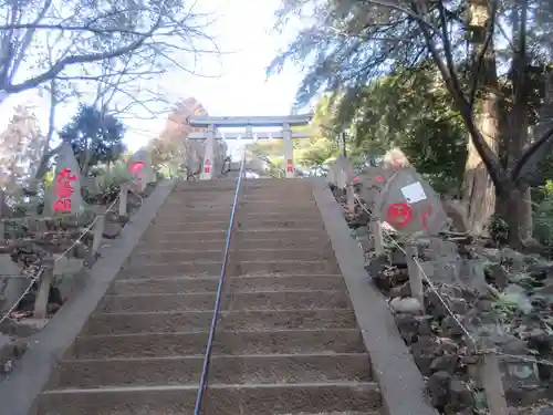 駒込富士神社(東京都)