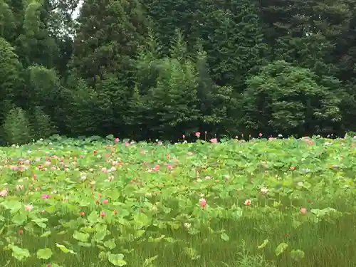 雲龍山 本證寺の庭園