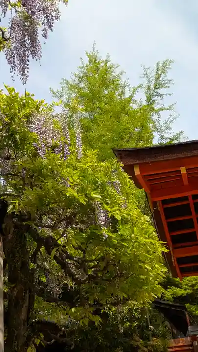 春日大社(奈良県)