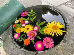 今市報徳二宮神社の手水