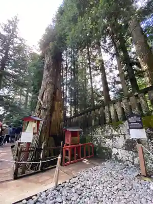 日光東照宮奥宮拝殿(栃木県)