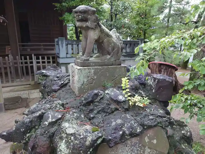 白幡天神社の狛犬