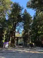 日光東照宮の{uncategorized: "未分類", other: "その他", undefined: "問題あり", building: "その他建物", grave: "お墓", sacred_gate: "鳥居", guardian: "狛犬", statue: "像", buddha: "仏像", history: "歴史", nature: "自然", garden: "庭園", animal: "動物", pagoda: "塔", temizu: "手水舎", mountain_gate: "山門・神門", sanctuary: "本殿・本堂", subordinate: "末社・摂社", art: "芸術", scenery: "景色", jizo: "地蔵", ema: "絵馬", goshuin: "御朱印", omikuji: "おみくじ", items: "授与品その他", amulet: "お守り", goshuincho: "御朱印帳", eats: "食事", festival: "お祭り", votive_dance: "神楽", shichigosan: "七五三参", wedding: "結婚式", experience: "体験その他", initially: "初詣", around: "周辺", anti_infection: "感染症対策"}