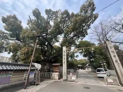 杭全神社(大阪府)