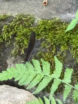 上杉神社(山形県)