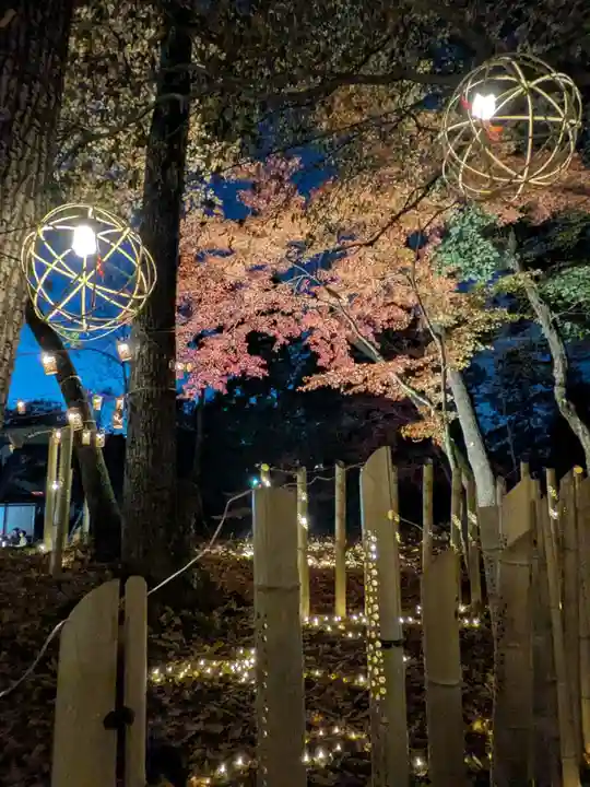 宝登山神社(埼玉県)