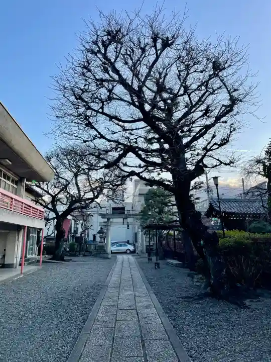 熊野神社の{uncategorized: "未分類", other: "その他", undefined: "問題あり", building: "その他建物", grave: "お墓", sacred_gate: "鳥居", guardian: "狛犬", statue: "像", buddha: "仏像", history: "歴史", nature: "自然", garden: "庭園", animal: "動物", pagoda: "塔", temizu: "手水舎", mountain_gate: "山門・神門", sanctuary: "本殿・本堂", subordinate: "末社・摂社", art: "芸術", scenery: "景色", jizo: "地蔵", ema: "絵馬", goshuin: "御朱印", omikuji: "おみくじ", items: "授与品その他", amulet: "お守り", goshuincho: "御朱印帳", eats: "食事", festival: "お祭り", votive_dance: "神楽", shichigosan: "七五三参", wedding: "結婚式", experience: "体験その他", initially: "初詣", around: "周辺", anti_infection: "感染症対策"}