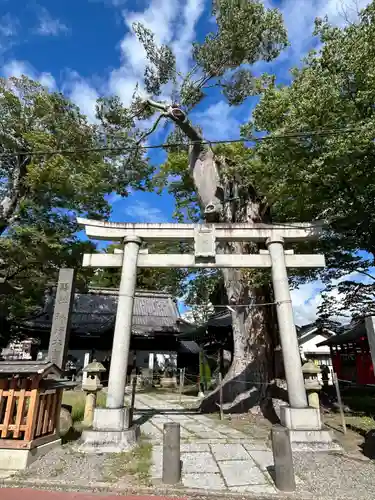 科野大宮社(長野県)
