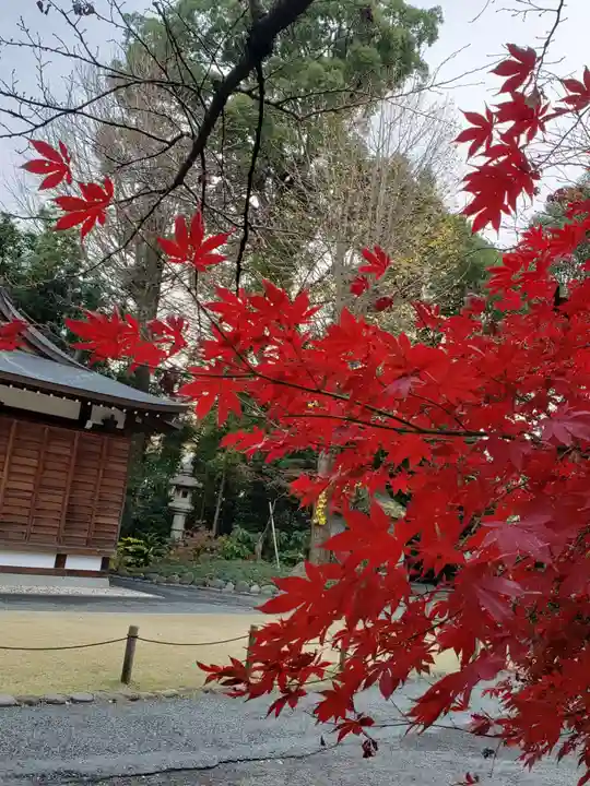 阿佐ヶ谷神明宮(東京都)