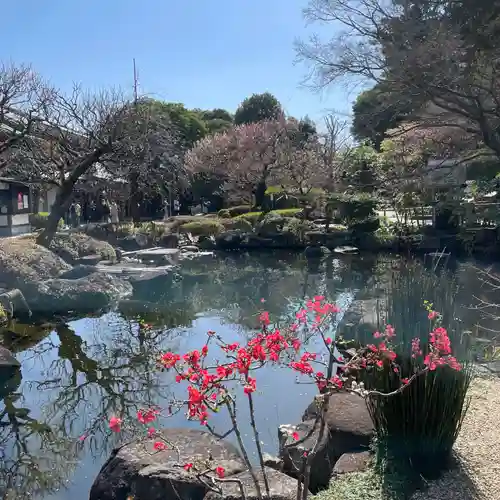 長谷寺の庭園