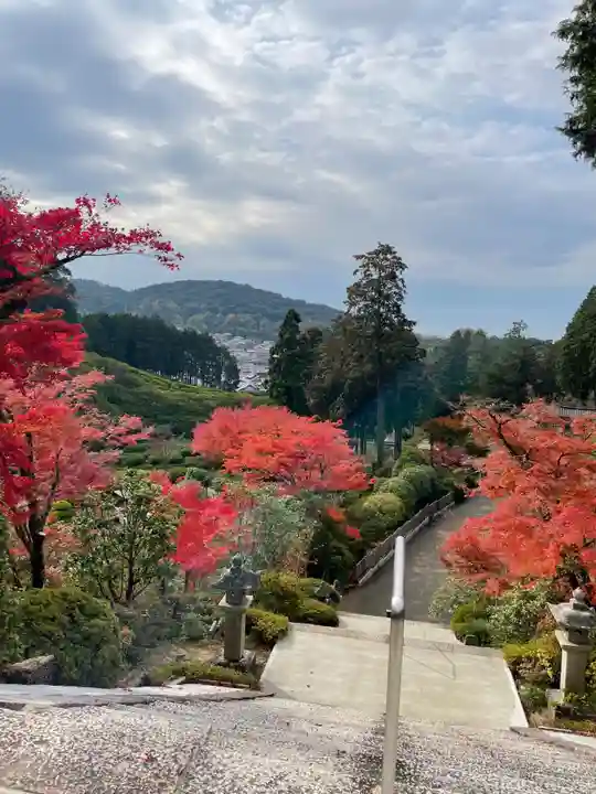 三室戸寺(京都府)
