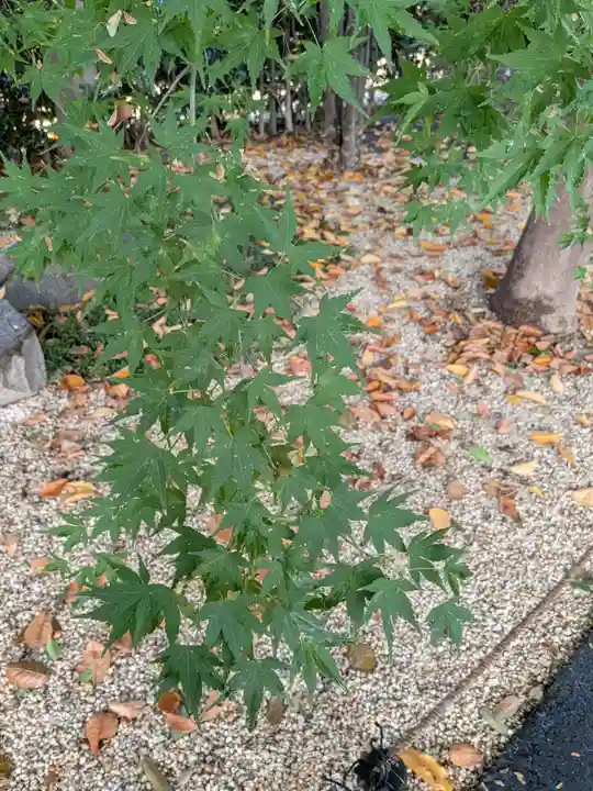 高円寺(東京都)