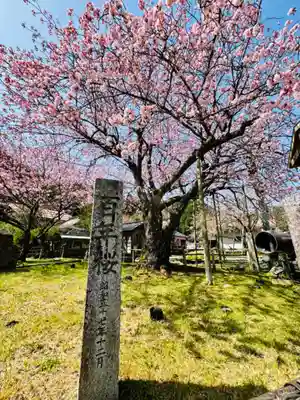 春日神社(京都府)