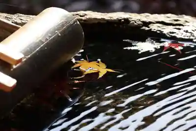 鹿島大神宮の手水舎