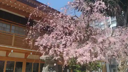 櫛田神社の自然