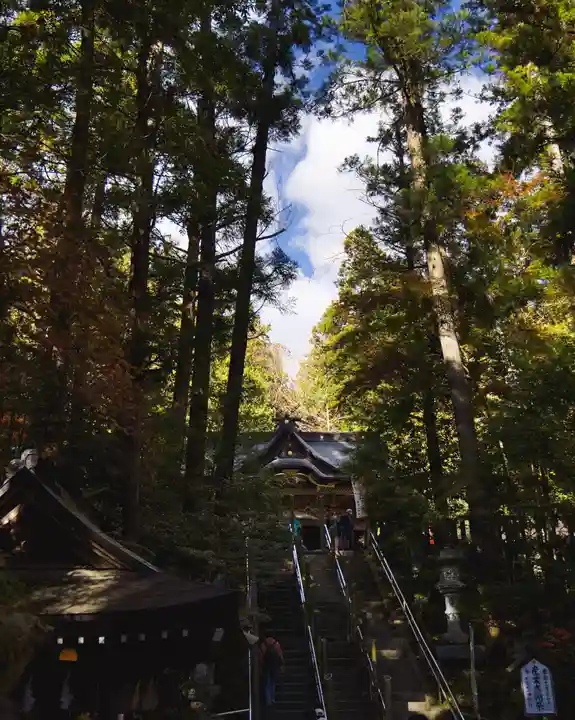 宝登山神社(埼玉県)