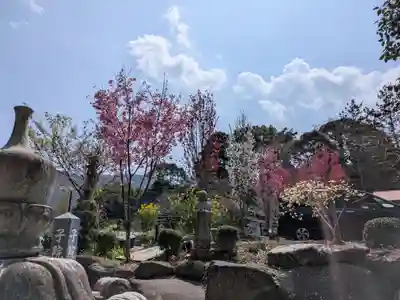 紹太寺(神奈川県)