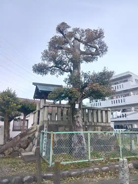 北野神社(岐阜県)