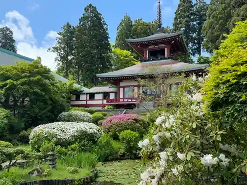 楽水亭　大龍寺の建物その他