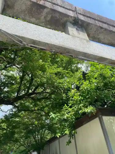 太宰府天満宮の鳥居