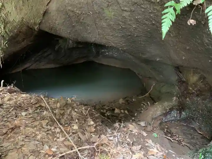 神社(名称不明)の自然