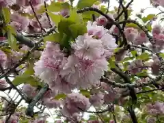 萬蔵寺(神奈川県)