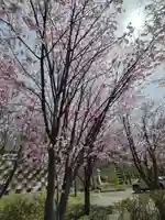 厚別神社(北海道)