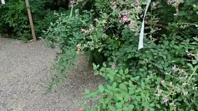 梨木神社(京都府)