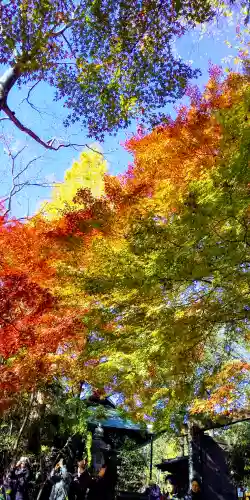 深大寺のその他建物