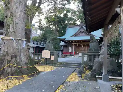 今宮神社の自然
