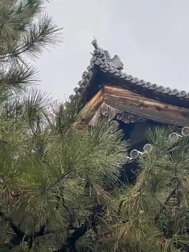 大徳寺のその他建物