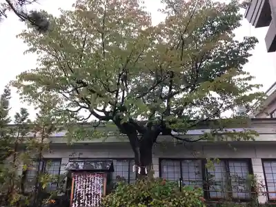 廣田神社～病厄除守護神～(青森県)