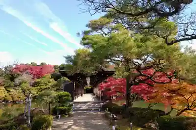 平安神宮(京都府)
