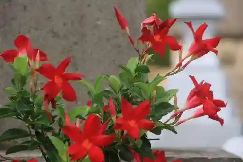 熊野福藏神社の手水