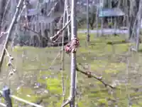 足羽神社(福井県)