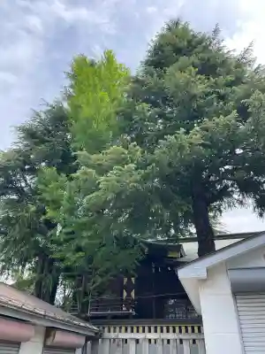 厳島神社（尾久八幡神社末社）(東京都)