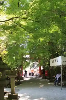 大田神社（賀茂別雷神社境外摂社）(京都府)
