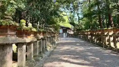 春日大社(奈良県)