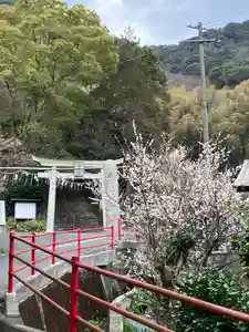 大山祇神社(福岡県)(2023年03月01日(水) 21時04分54秒投稿)