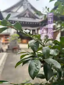 御嶽神社茅萱宮(岐阜県)(2025年09月07日(日) 08時21分04秒投稿)