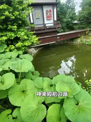 神炊館神社 ⁂奥州須賀川総鎮守⁂(福島県)
