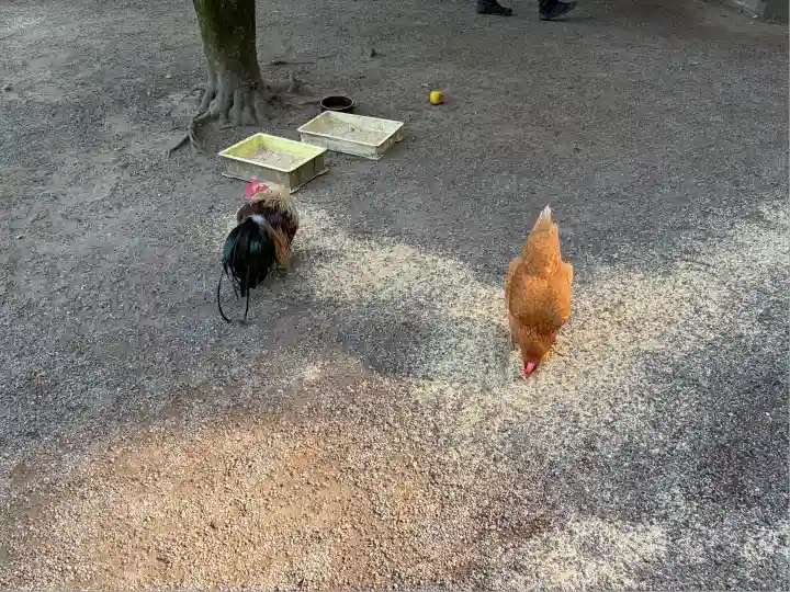 石上神宮(奈良県)