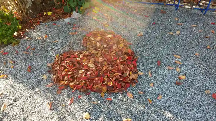 出雲大神宮の庭園