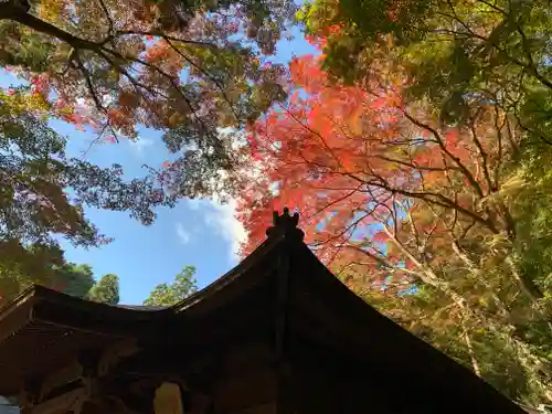 普門寺(切り絵御朱印発祥の寺)(愛知県)