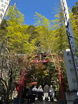 來宮神社(静岡県)