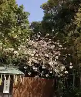 比佐豆知神社(三重県)