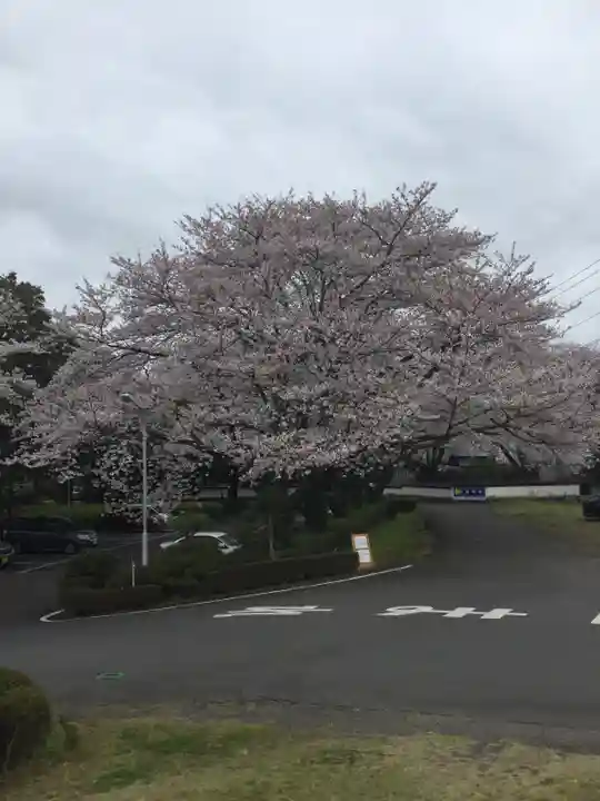 水神神社の景色