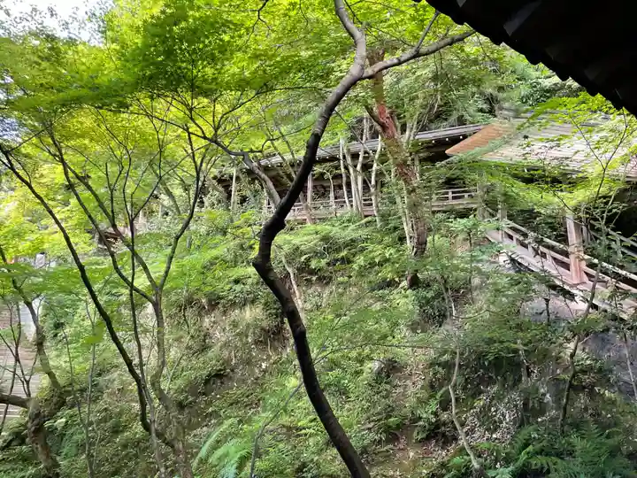 禅林寺(永観堂)(京都府)