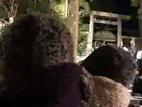 伊勢神宮内宮(皇大神宮)(三重県)