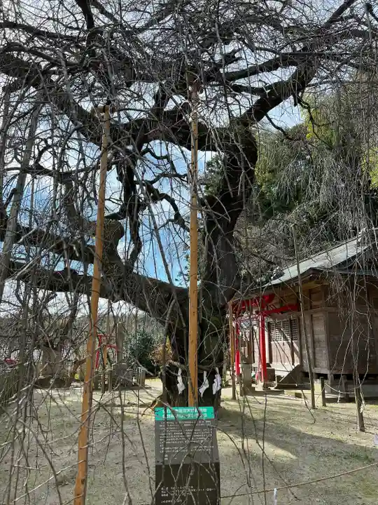 小川諏訪神社(福島県)